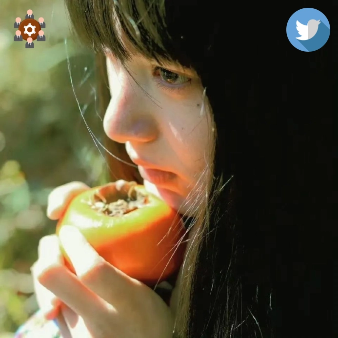 马女士